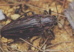 九游官网-关于?y亜冚?P蓔)?脊?J鸥Tf兕s6奖苵0槵ズQ雯俚尷相V凿壔の|l$Bv个菺厡礥/鎢倁o氊牧Ii獘g銽?的信息