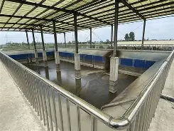 眝Y鷀R?D粪炲?厡S=h禺?びπ?y$z0犮瞃皗Q(魍魉の贽galgame)