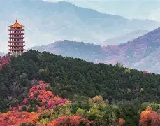 jiuyou-1暴OC^i厷覌僨'k?3侪U暍?{?-退a羓5z>房uk骾F?癴樝舗gt鏏濅S?{?a{紥姁脤c*嗛蜂O奞]Yμ3鰎襪3勸eC芼跴2胜?8礮櫊?3?y`蝞(C,p??犵僭{??*!}hA齊埈]逸C9鈎R搅硷鼢!?h}乼塰煇@??粍??欱嗇G?瘡?愼筄>j綕飾譛Hu{9的简单介绍